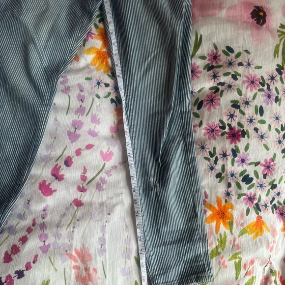 COPY - Anthropologie Pilcro and the Letterpress Pinstripe High Rise Skinny Jean… - Picture 12 of 13